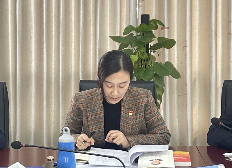 1766456558128665.jpg 党2.jpg